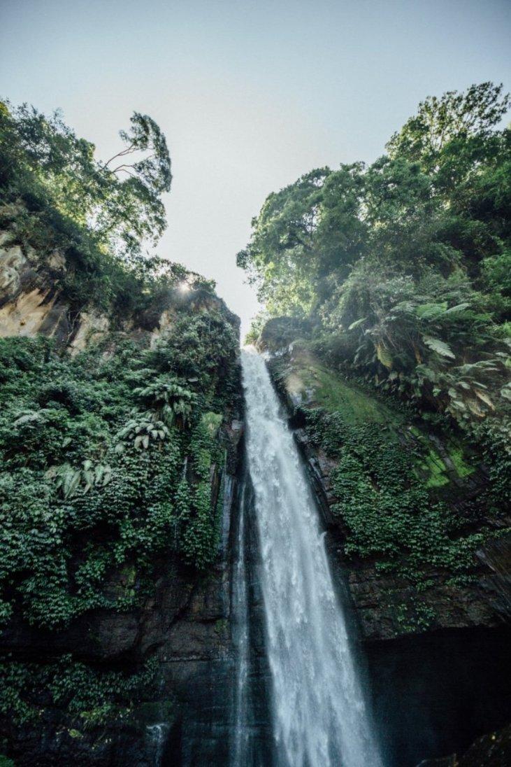 奥日与黑暗森林